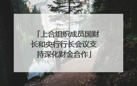上合组织成员国财长和央行行长会议支持深化财金合作