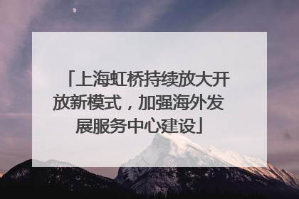 上海虹桥持续放大开放新模式，加强海外发展服务中心建设