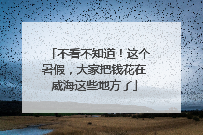 不看不知道！这个暑假，大家把钱花在威海这些地方了