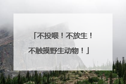不投喂！不放生！不触摸野生动物！