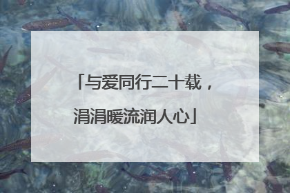 与爱同行二十载，涓涓暖流润人心