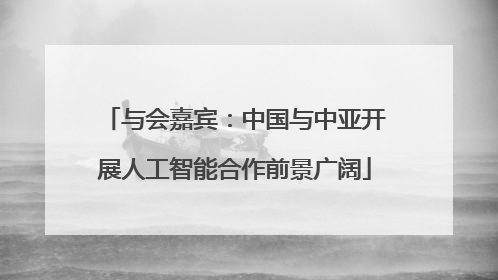 与会嘉宾：中国与中亚开展人工智能合作前景广阔