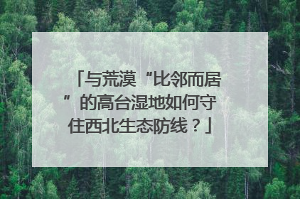 与荒漠“比邻而居”的高台湿地如何守住西北生态防线？