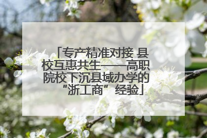 专产精准对接 县校互惠共生——高职院校下沉县域办学的“浙工商”经验