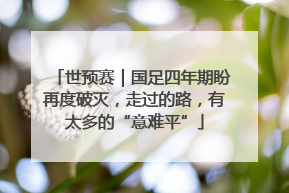 世预赛｜国足四年期盼再度破灭，走过的路，有太多的“意难平”