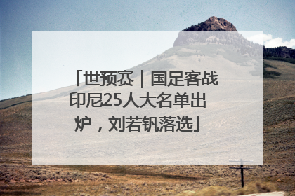 世预赛｜国足客战印尼25人大名单出炉，刘若钒落选