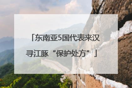 东南亚5国代表来汉寻江豚“保护处方”
