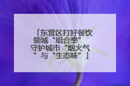 东营区打好餐饮领域“组合拳” 守护城市“烟火气”与“生态味”