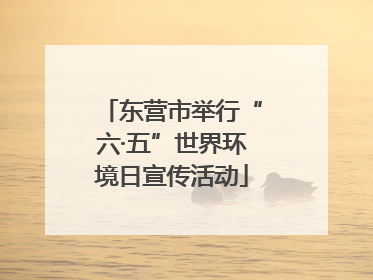 东营市举行“六·五”世界环境日宣传活动