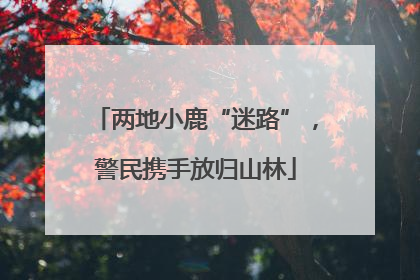 两地小鹿“迷路”，警民携手放归山林