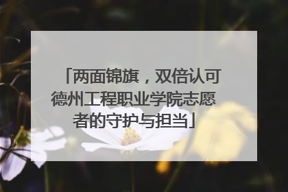 两面锦旗，双倍认可德州工程职业学院志愿者的守护与担当