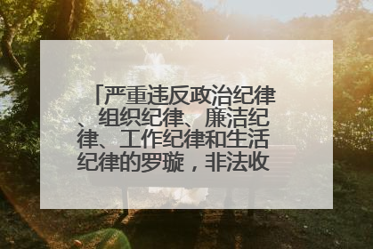 严重违反政治纪律、组织纪律、廉洁纪律、工作纪律和生活纪律的罗璇，非法收受他人巨额财物