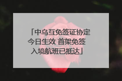中乌互免签证协定今日生效 首架免签入境航班已抵达