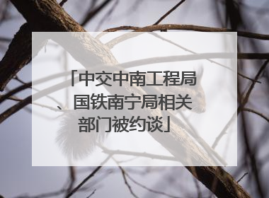 中交中南工程局、国铁南宁局相关部门被约谈