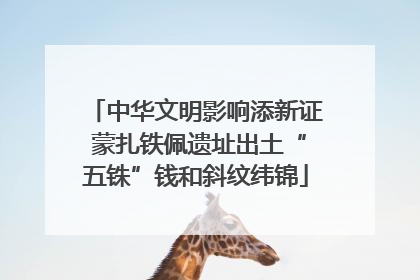 中华文明影响添新证 蒙扎铁佩遗址出土“五铢”钱和斜纹纬锦