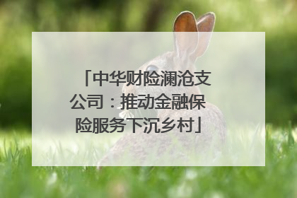 中华财险澜沧支公司：推动金融保险服务下沉乡村