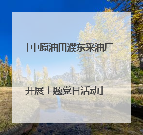 中原油田濮东采油厂开展主题党日活动