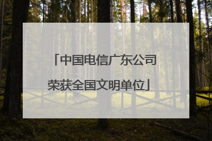 中国电信广东公司荣获全国文明单位