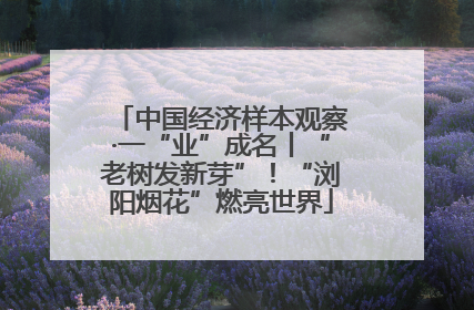 中国经济样本观察·一“业”成名丨“老树发新芽”！“浏阳烟花”燃亮世界