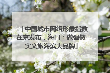中国城市网络形象指数在京发布，海口：做强做实文旅海滨大品牌