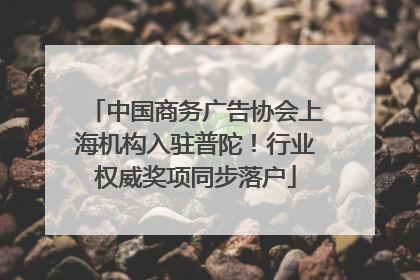 中国商务广告协会上海机构入驻普陀！行业权威奖项同步落户