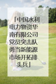 中国水利电力物资华南有限公司党员突击队勇当新能源市场开拓排头兵