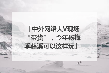 中外网络大V现场“带货”，今年杨梅季慈溪可以这样玩