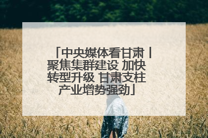中央媒体看甘肃丨聚焦集群建设 加快转型升级 甘肃支柱产业增势强劲