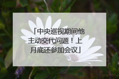 中央巡视期间他主动交代问题！上月底还参加会议