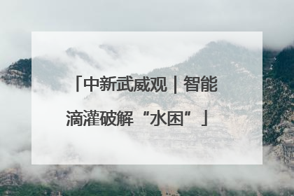 中新武威观｜智能滴灌破解“水困”