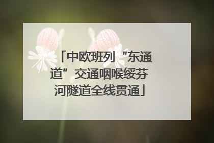 中欧班列“东通道”交通咽喉绥芬河隧道全线贯通