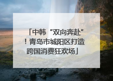 中韩“双向奔赴”！青岛市城阳区打造跨国消费狂欢场