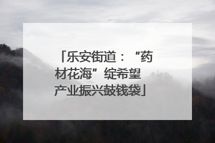 乐安街道：“药材花海”绽希望 产业振兴鼓钱袋