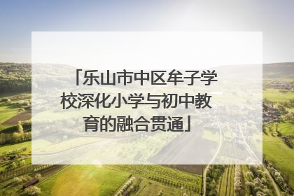 乐山市中区牟子学校深化小学与初中教育的融合贯通