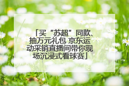 买“苏超”同款、抽万元礼包 京东运动采销直播间带你现场沉浸式看球赛