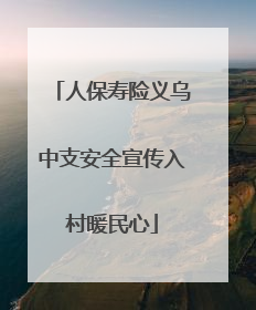 人保寿险义乌中支安全宣传入村暖民心