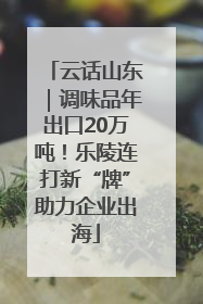云话山东｜调味品年出口20万吨！乐陵连打新“牌”助力企业出海