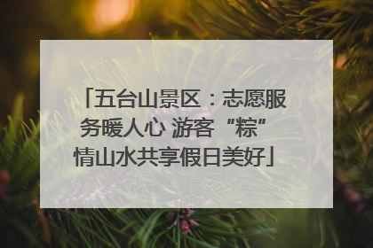 五台山景区：志愿服务暖人心 游客“粽”情山水共享假日美好