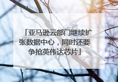 亚马逊云部门继续扩张数据中心，同时还要争抢英伟达芯片