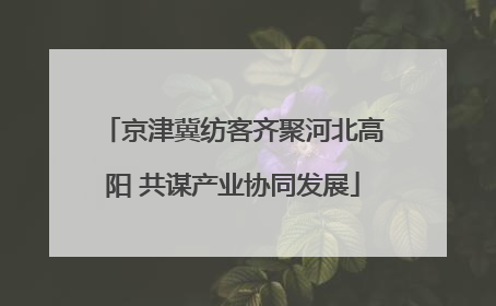 京津冀纺客齐聚河北高阳 共谋产业协同发展
