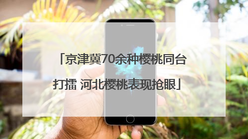 京津冀70余种樱桃同台打擂 河北樱桃表现抢眼