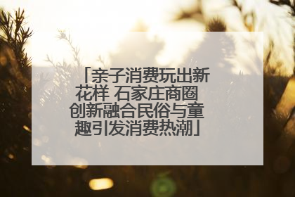 亲子消费玩出新花样 石家庄商圈创新融合民俗与童趣引发消费热潮