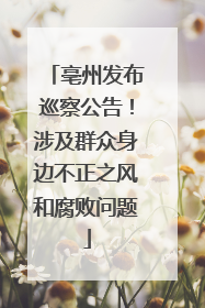 亳州发布巡察公告！涉及群众身边不正之风和腐败问题
