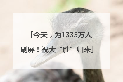今天，为1335万人刷屏！祝大“胜”归来