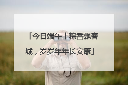 今日端午丨粽香飘春城，岁岁年年长安康