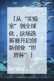 从“实验室”到全球化，这场选拔赛开启创新创业“世界杯”