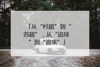从“村超”到“苏超”，从“追球”到“追求”