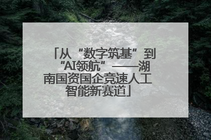 从“数字筑基”到“AI领航”——湖南国资国企竞速人工智能新赛道