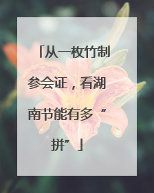 从一枚竹制参会证，看湖南节能有多“拼”