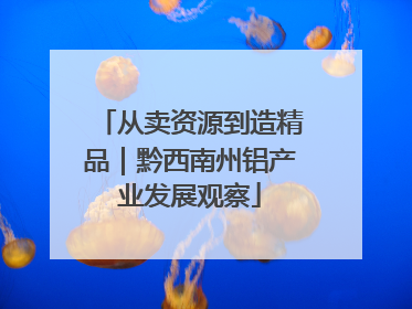 从卖资源到造精品｜黔西南州铝产业发展观察